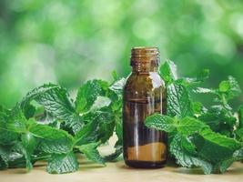 The peppermint extract in small bottle near peppermint leaf on wooden table. The essential oil falling from glass dropper into organic bio alternative medicine, brown bottle. photo