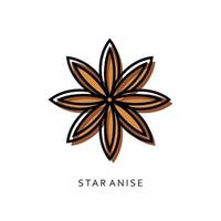 Vector image of star anise on a white background.