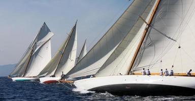 sailing boat race photo