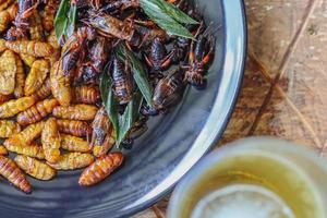Crispy insects are served in black ceramic plates placed on tables made of steel grates, and fried insects are a popular food paired with alcoholic beverages as they are easy to find and very popular photo