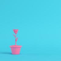 Pink low poly flower in a pot on bright blue background in pastel colors photo