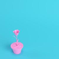Pink low poly flower in a pot on bright blue background in pastel colors photo