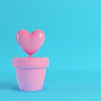 Pink heart in the pots on red box on bright blue background. Minimalism concept. 3d render photo