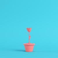 Pink low poly flower in a pot on bright blue background in pastel colors photo