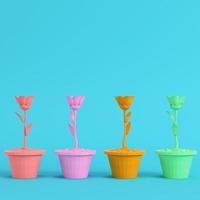 Four colorful low poly flowers in a pot on bright blue background in pastel colors photo