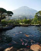 Beautiful view of fish pond and mountain in Central Java, Indonesia photo