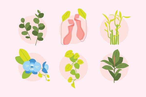 leaf green flat vector icon set