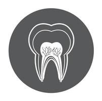 icono de anatomía detallada del diente vector
