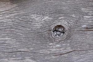 textura de fondo de madera foto