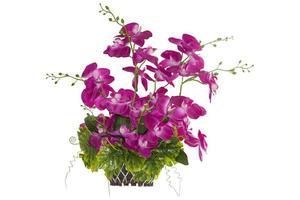 Orchid plastic flower pink color in basket Interior and outside plant flower in isolated on white background for interior design house plant pot design, clipping path included. photo