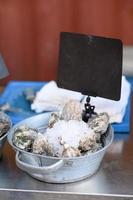 Oysters For Sale At Market Stall photo