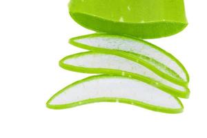 Aloe vera isolated on white background photo