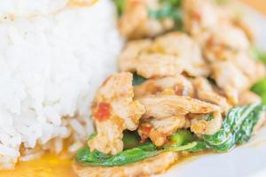 rice topped with stir-fried chicken and basil photo