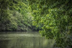 Beautiful nature on the banks of Western Morava river in Serbia photo