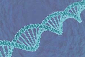 Deoxyribonucleic acid, DNA chromosome illustration, 3D rendering photo