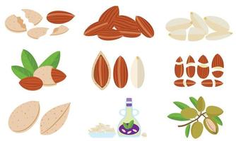 Almond icons set, flat style vector
