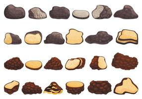 Truffle icons set, cartoon style vector