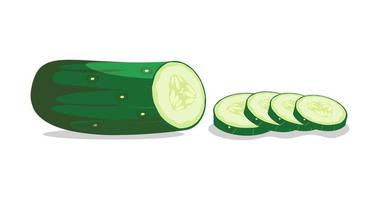 Roundly sliced cucumber vector illustration