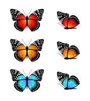 Multicolored butterflies set of elements for design vector