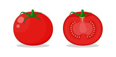 tomate entero y cortado a la mitad ilustración vectorial sobre un fondo blanco vector