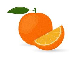 Bright orange with a slice isolated on a white background. Vector illustration