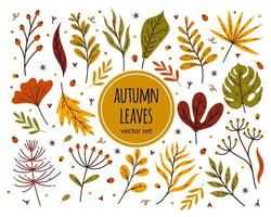 Bright autumn leaves vector set. Forest, meadow, field plants. Hand drawn doodle isolated on white. Leaves of garden, wild trees - maple, oak, birch, rowan. Collection of flat botanical clipart