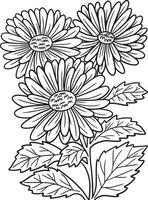 Aster Flower Coloring Page for Adults vector