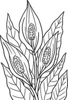 Peace Lily Flower Coloring Page for Adults vector