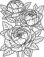 Peonies Flower Coloring Page for Adults vector