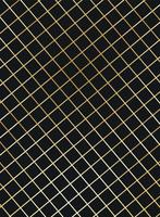 Black background with golden mesh vector