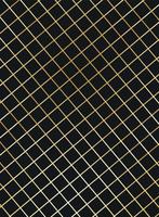 Black background with golden mesh vector