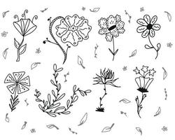 conjunto colección doodle flor dibujada a mano vector