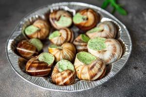 snails food ready to eat fresh healthy meal food snack diet on the table copy space food background photo