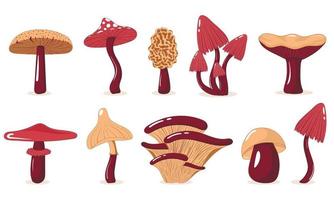 Collection of simple edible and poisonous mushrooms in flat style vector