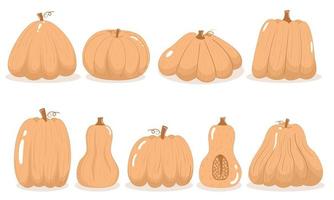 Collection of simple pumpkins of various shapes and sizes in a flat style vector