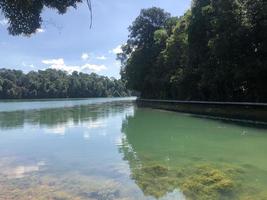 Beautiful Summer Lake.Calm Water In Beautiful Summer Sunny Day photo