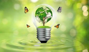 world shaped tree in light bulb concept of environmental conservation and protecting nature photo