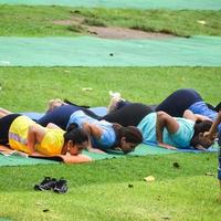 New Delhi, India, June 18 2022 - Group Yoga exercise class Surya Namaskar for people of different age in Lodhi Garden, International Yoga Day, Big group of adults attending a yoga class in park photo