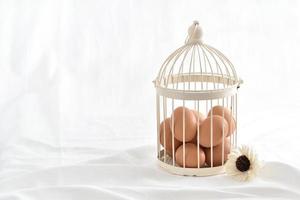 eggs in vintage cage isolated on white background photo