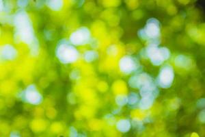 beautiful Natural green leaf and abstract blur bokeh light background photo