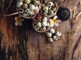 quail eggs on a vintage wooden background photo