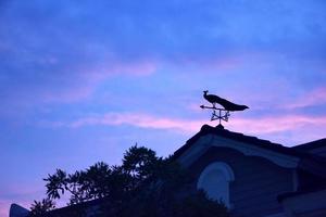 weather vane at sunrise with bright colors in clouds photo