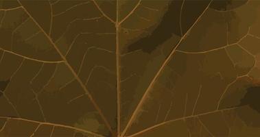 Brown Leaf Texture Background vector