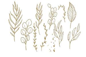 set of golden tropical leaves. graphic drawing of palm leaves, eucalyptus. isolated clipart on white background vector
