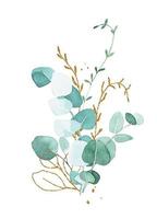 watercolor drawing. bouquet, composition of eucalyptus branches. gold and green eucalyptus leaves. vintage bouquet vector