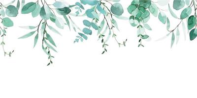 watercolor drawing. seamless border with eucalyptus leaves. vintage drawing.