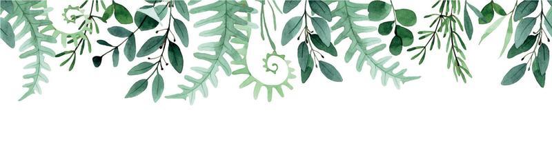 watercolor seamless border, frame. with forest leaves and herbs. simple abstract leaves of fern, eucalyptus, rosemary.