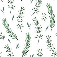 dibujo de acuarela. patrón impecable con hojas y ramas de romero, lavanda. Imprimir hojas de romero verde aislado sobre fondo blanco. vector