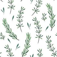 watercolor drawing. seamless pattern with leaves and branches of rosemary, lavender. print green rosemary leaves isolated on white background vector