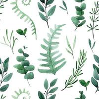 watercolor drawing. seamless pattern with forest leaves and herbs. print green leaves of fern, eucalyptus, rosemary isolated on white background
